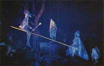 Wildfire_Paints_are_Used_on_the_Haunted_Mansion_Ride_ Disney_World