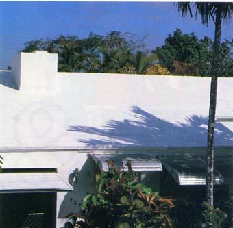 Asphalt Shingle